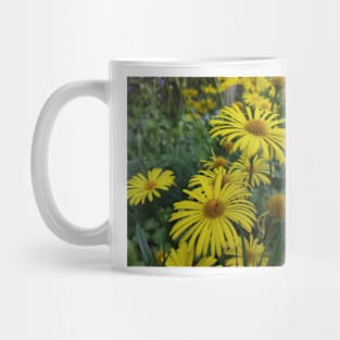 Caucasian gemswort Mug